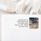 Wölbchen in der Waldmalerei (Insitu)