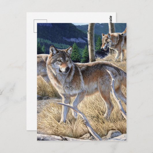 Wölbchen in der Waldmalerei Postkarte (Vorne/Hinten)