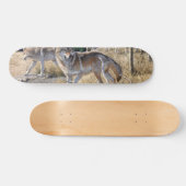 Wölbchen in der Waldmalerei Skateboard (Horizontal)