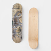 Wölbchen in der Waldmalerei Skateboard (Vorderseite)