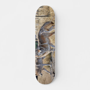 Wölbchen in der Waldmalerei Skateboard
