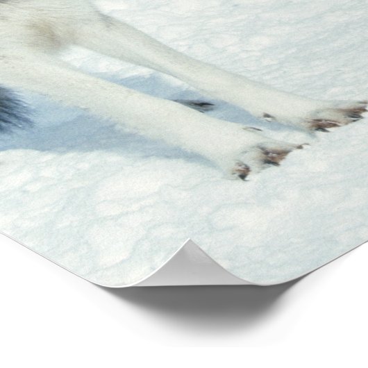 Wölbchen Poster (Ecke)