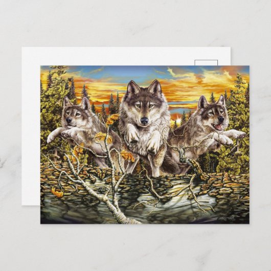 Wölbchen springen über einen Stein Postkarte (Vorne/Hinten)