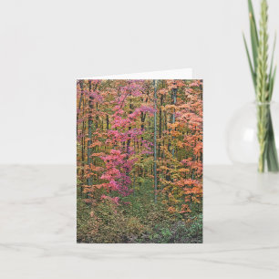 "WOLDE IN HERBST" NOTECARD KARTE