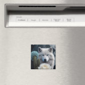 Wolf10: Magnet (In Situ (Geschirrspüler))