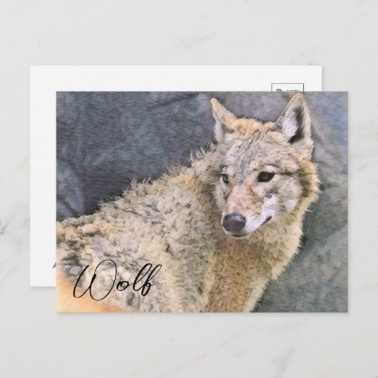 Wolf ポストカード postkarte (Vorne/Hinten)