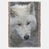 Wolf 001 decke (Vorderseite Vertikal)