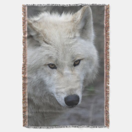 Wolf 001 decke (Vorderseite Vertikal)