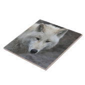 Wolf 001 fliese (Seite)