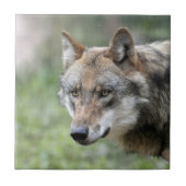Wolf 001 fliese (Vorderseite)