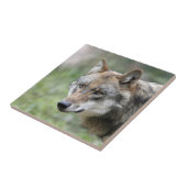 Wolf 001 fliese (Seite)