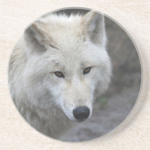 Wolf 001 getränkeuntersetzer