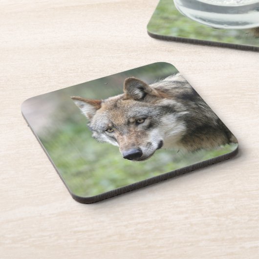 Wolf 001 getränkeuntersetzer (Linke Seite)