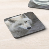 Wolf 001 getränkeuntersetzer (Linke Seite)