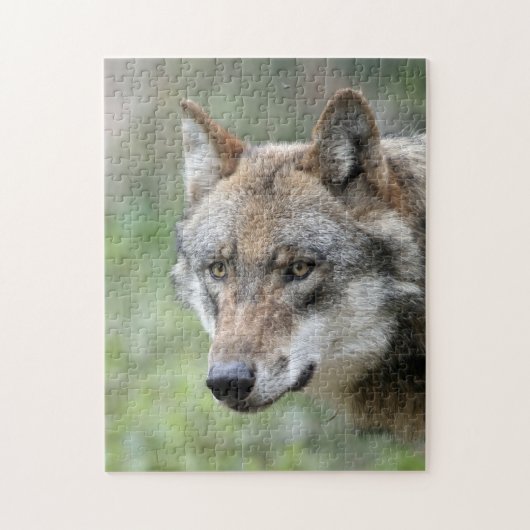 Wolf 001 puzzle (Vertikal)