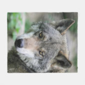 Wolf_011 Fleecedecke (Vorderseite (Horizontal))