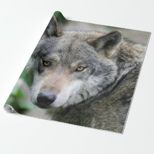 Wolf_011 Geschenkpapier