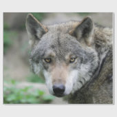 Wolf_011 Geschenkpapier (Flach)