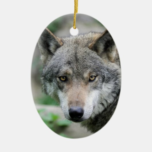 Wolf_011 Keramikornament (Vorne)