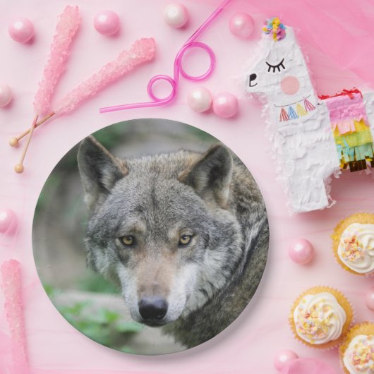 Wolf_011 Pappteller (Party)