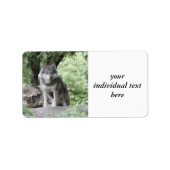 Wolf 14AJ Adressaufkleber (Vorne)