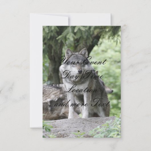 Wolf 14AJ Einladung (Vorderseite)