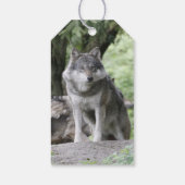 Wolf 14AJ Geschenkanhänger (Rückseite)