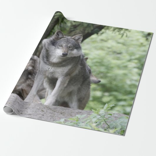 Wolf 14AJ Geschenkpapier (Ungerollt)