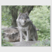 Wolf 14AJ Geschenkpapier (Flach)