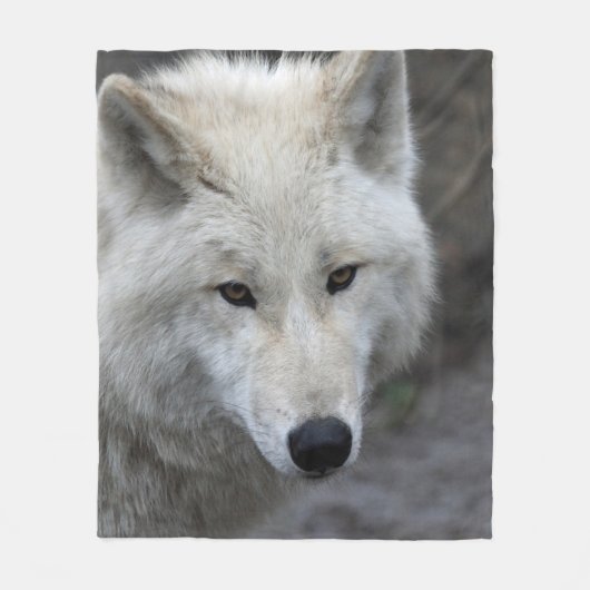 Wolf_15 Fleecedecke (Vorderseite)