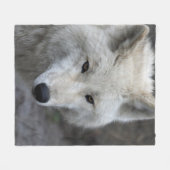 Wolf_15 Fleecedecke (Vorderseite (Horizontal))