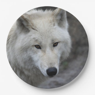 Wolf_15 Pappteller