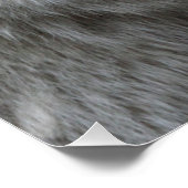 Wolf_15 Poster (Ecke)