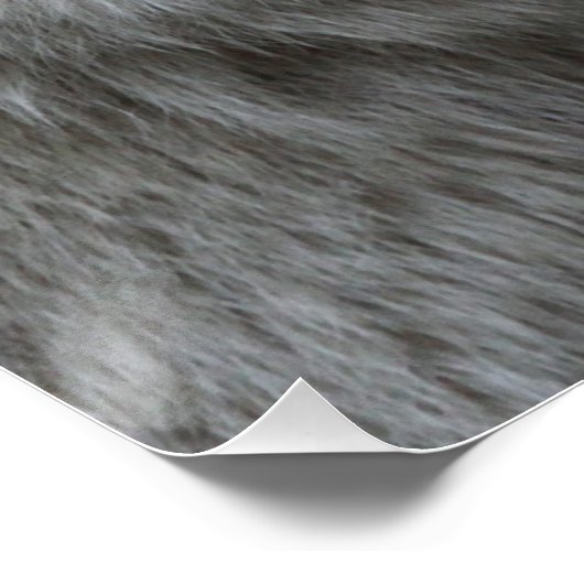 Wolf_15 Poster (Ecke)