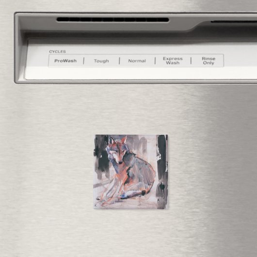 Wolf 2000 magnet (In Situ (Geschirrspüler))