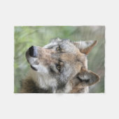Wolf_2015_0111 Fleecedecke (Vorderseite (Horizontal))