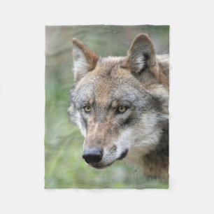 Wolf_2015_0111 Fleecedecke