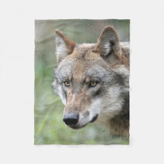 Wolf_2015_0111 Fleecedecke (Vorderseite)