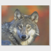 Wolf_2015_0301 Geschenkpapier (Flach)