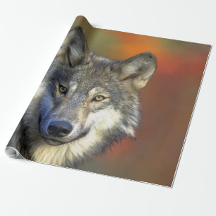 Wolf_2015_0301 Geschenkpapier