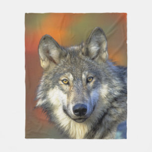Wolf_2015_0302 Fleecedecke