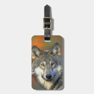 Wolf_2015_0302 Gepäckanhänger