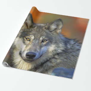Wolf_2015_0302 Geschenkpapier