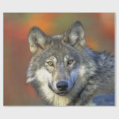 Wolf_2015_0302 Geschenkpapier (Flach)