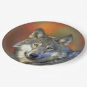 Wolf_2015_0302 Pappteller (Schrägansicht)