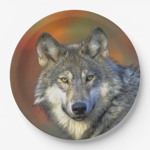 Wolf_2015_0302 Pappteller