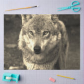 Wolf 215 seidenpapier (Basteln)