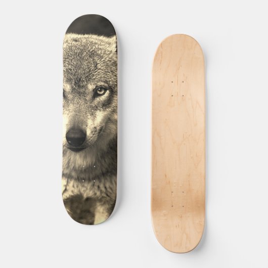 Wolf 215 skateboard (Vorderseite)