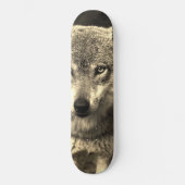 Wolf 215 skateboard (Vorderseite)
