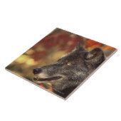 Wolf 2 fliese (Seite)